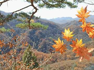 晨會(huì)勵(lì)志語(yǔ)錄，經(jīng)典長(zhǎng)句激勵(lì)人心