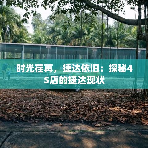 時(shí)光荏苒，捷達(dá)依舊：探秘4S店的捷達(dá)現(xiàn)狀