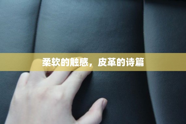 花容月貌 第3頁