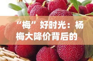 “梅”好時光：楊梅大降價背后的甜蜜故事