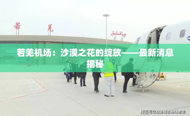 若羌機(jī)場：沙漠之花的綻放——最新消息揭秘