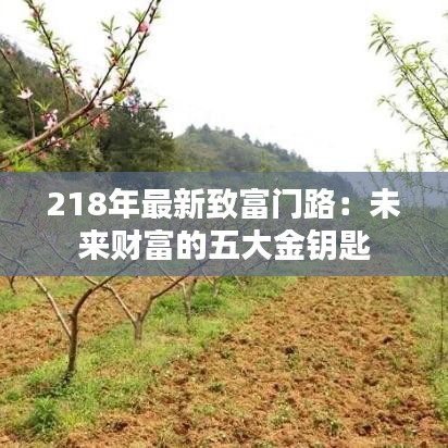 218年最新致富門路：未來財富的五大金鑰匙