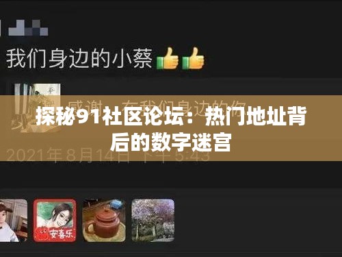 探秘91社區(qū)論壇：熱門地址背后的數(shù)字迷宮