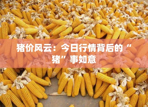 豬價(jià)風(fēng)云：今日行情背后的“豬”事如意