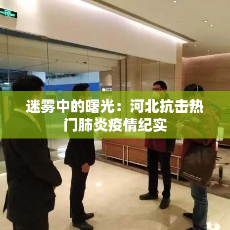 迷霧中的曙光：河北抗擊熱門肺炎疫情紀實