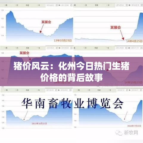 豬價(jià)風(fēng)云：化州今日熱門生豬價(jià)格的背后故事