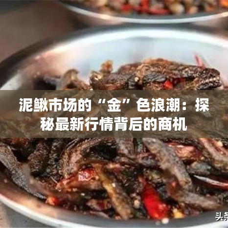 關(guān)于我們 第230頁