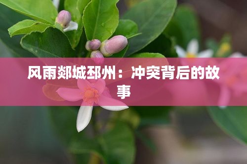 風雨郯城邳州：沖突背后的故事
