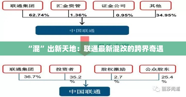 “混”出新天地：聯(lián)通最新混改的跨界奇遇