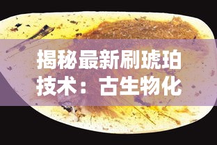 揭秘最新刷琥珀技術(shù)：古生物化石的全新重生
