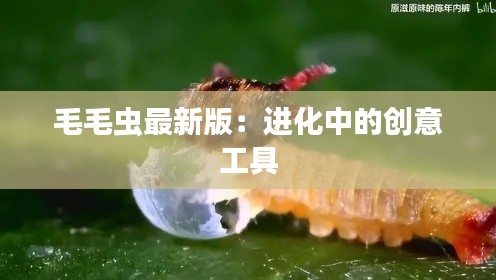 毛毛蟲最新版：進(jìn)化中的創(chuàng)意工具