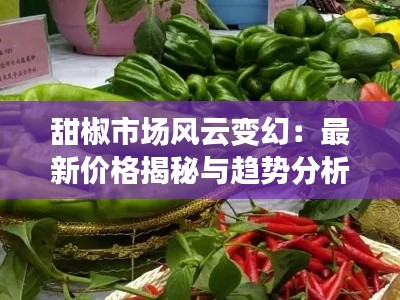 甜椒市場風云變幻：最新價格揭秘與趨勢分析