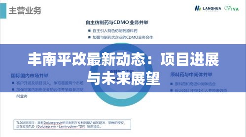 豐南平改最新動態(tài)：項目進展與未來展望