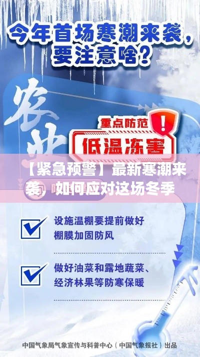 【緊急預(yù)警】最新寒潮來(lái)襲，如何應(yīng)對(duì)這場(chǎng)冬季挑戰(zhàn)？