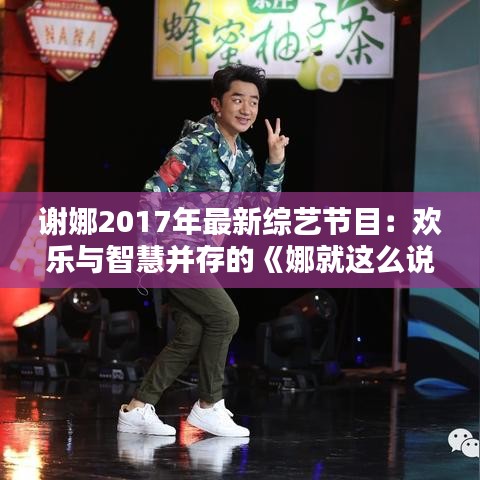 謝娜2017年最新綜藝節(jié)目：歡樂與智慧并存的《娜就這么說》