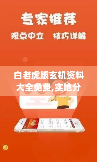 白老虎版玄機(jī)資料大全免費(fèi),實(shí)地分析解釋定義_錢(qián)包版5.336