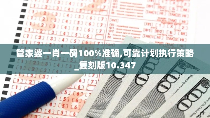 管家婆一肖一碼100%準確,可靠計劃執(zhí)行策略_復刻版10.347