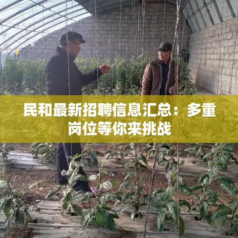 民和最新招聘信息匯總：多重崗位等你來挑戰(zhàn)