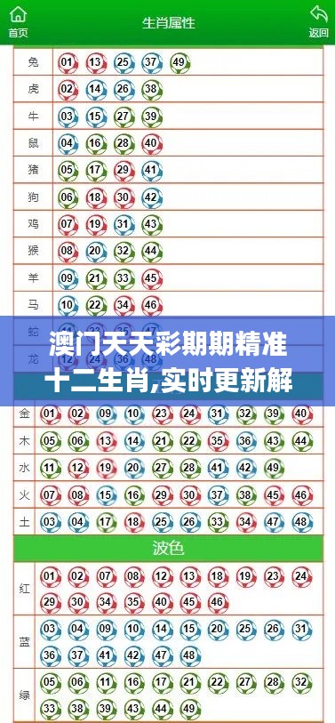 澳門(mén)天天彩期期精準(zhǔn)十二生肖,實(shí)時(shí)更新解釋定義_XP18.874