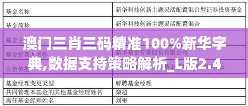 澳門(mén)三肖三碼精準(zhǔn)100%新華字典,數(shù)據(jù)支持策略解析_L版2.456