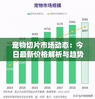 寵物切片市場動態(tài)：今日最新價格解析與趨勢展望