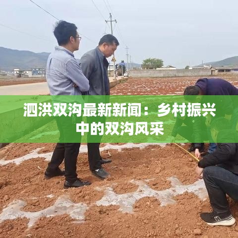 泗洪雙溝最新新聞：鄉(xiāng)村振興中的雙溝風(fēng)采