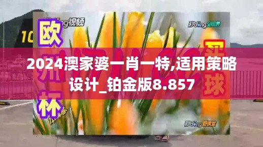 2024澳家婆一肖一特,適用策略設(shè)計_鉑金版8.857