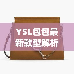 YSL包包最新款型解析：時尚界的奢華新寵
