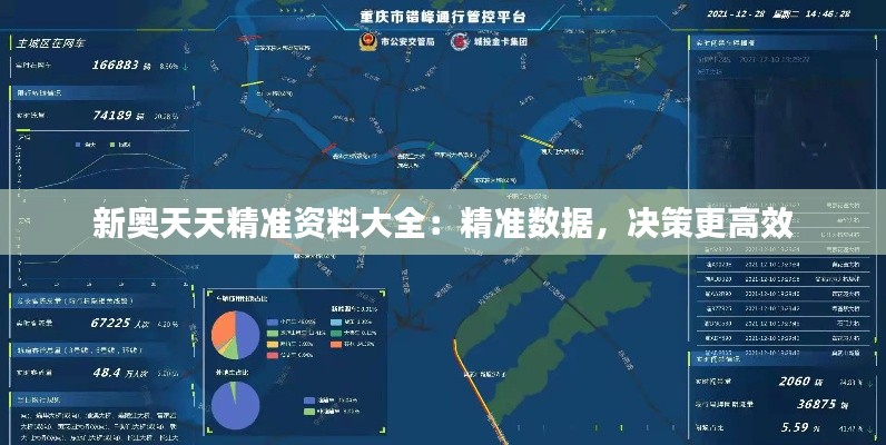 新奧天天精準(zhǔn)資料大全：精準(zhǔn)數(shù)據(jù)，決策更高效