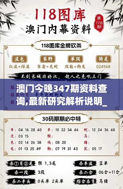 澳門今晚347期資料查詢,最新研究解析說明_精裝版9.105