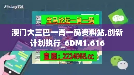 澳門大三巴一肖一碼資料站,創(chuàng)新計劃執(zhí)行_6DM1.616