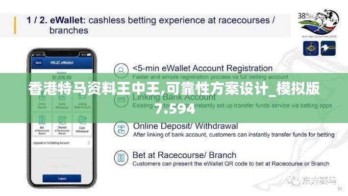 香港特馬資料王中王,可靠性方案設(shè)計_模擬版7.594