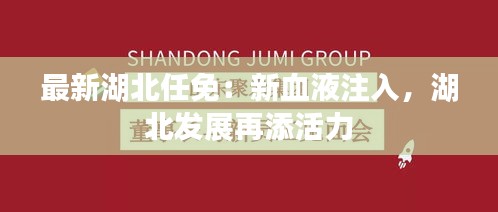 最新湖北任免：新血液注入，湖北發(fā)展再添活力