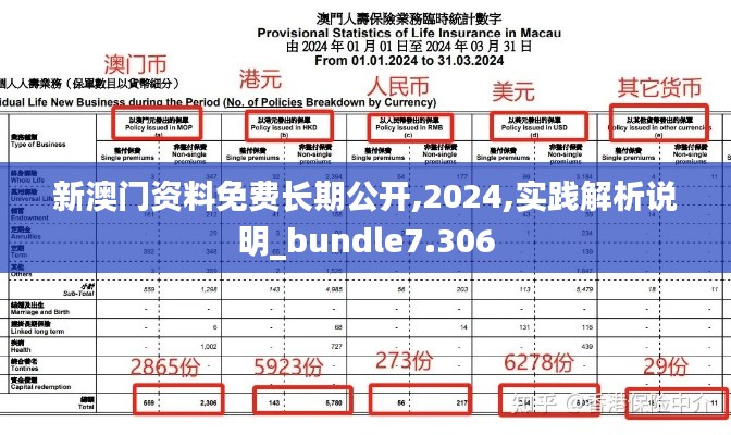 新澳門資料免費長期公開,2024,實踐解析說明_bundle7.306