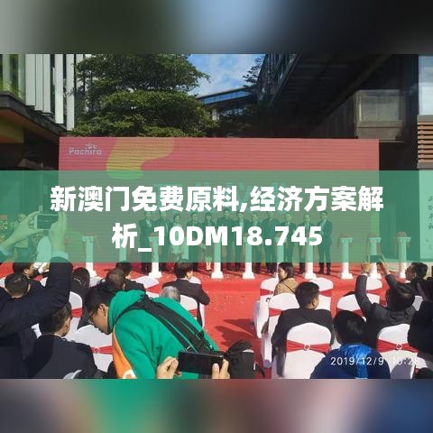 新澳門免費(fèi)原料,經(jīng)濟(jì)方案解析_10DM18.745