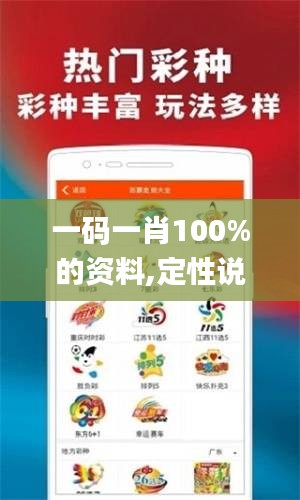 一碼一肖100%的資料,定性說明評估_HT4.378