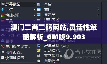 澳門二肖二碼網(wǎng)站,靈活性策略解析_GM版9.903