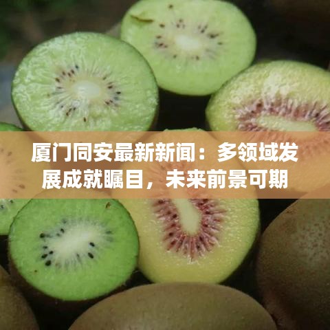 廈門(mén)同安最新新聞：多領(lǐng)域發(fā)展成就矚目，未來(lái)前景可期