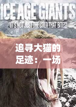 追尋大貓的足跡：一場(chǎng)與神秘巨獸的邂逅之旅