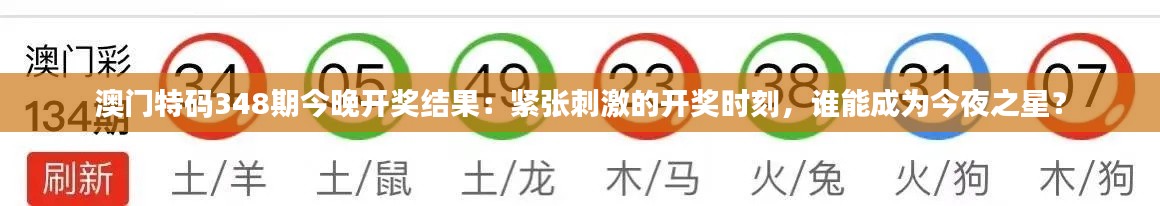 澳門特碼348期今晚開獎(jiǎng)結(jié)果：緊張刺激的開獎(jiǎng)時(shí)刻，誰能成為今夜之星？