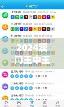 2024澳門王中王100%期期中,實地驗證設(shè)計解析_XP110.224
