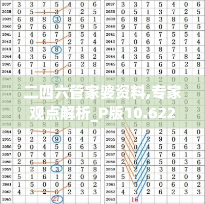二四六管家婆資料,專家觀點解析_P版10.622