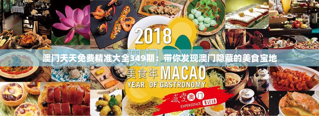 澳門天天免費精準大全349期：帶你發(fā)現澳門隱藏的美食寶地