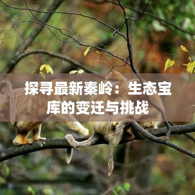 水靜河飛 第3頁(yè)