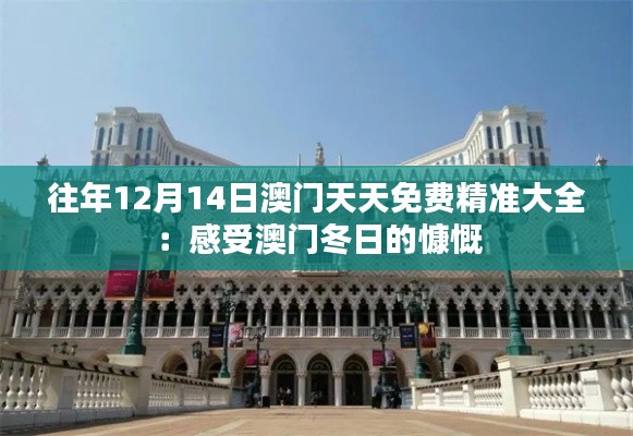 往年12月14日澳門天天免費精準大全：感受澳門冬日的慷慨