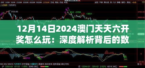 12月14日2024澳門(mén)天天六開(kāi)獎(jiǎng)怎么玩：深度解析背后的數(shù)學(xué)原理