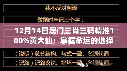 12月14日澳門三肖三碼精準(zhǔn)100%黃大仙：掌握命運的選擇