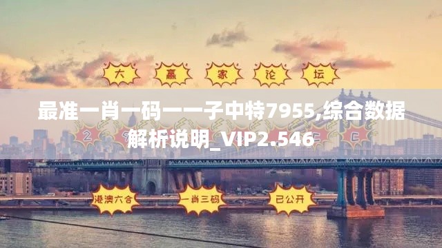 最準一肖一碼一一子中特7955,綜合數(shù)據(jù)解析說明_VIP2.546