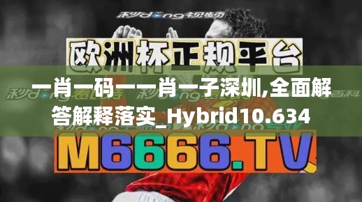 一肖一碼一一肖一子深圳,全面解答解釋落實(shí)_Hybrid10.634