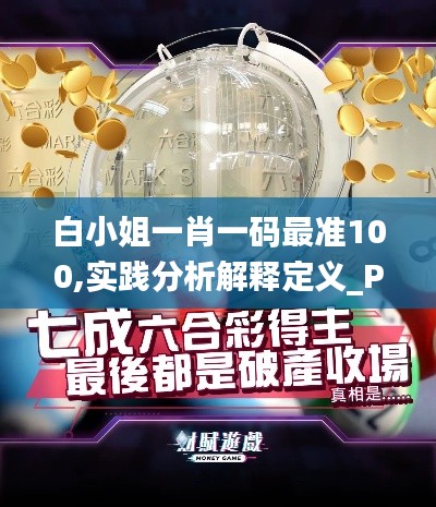 白小姐一肖一碼最準(zhǔn)100,實(shí)踐分析解釋定義_PT5.227